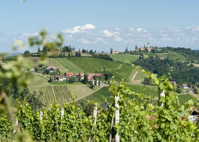 Weingut Schauer