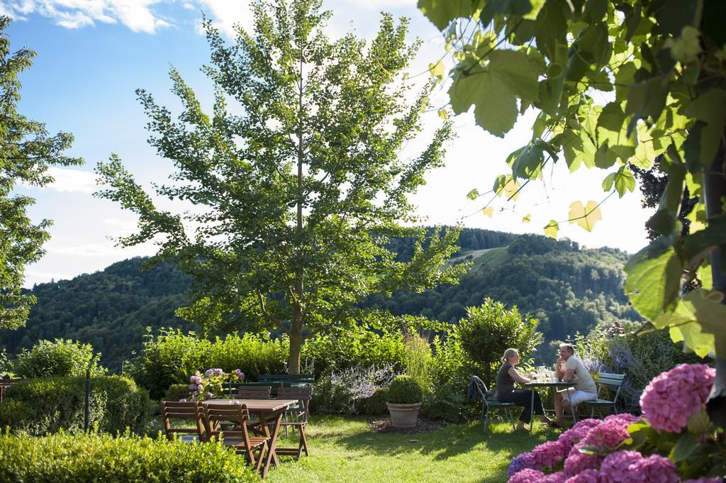Bauernhof Weingut Schauer Kitzeck im Sausal