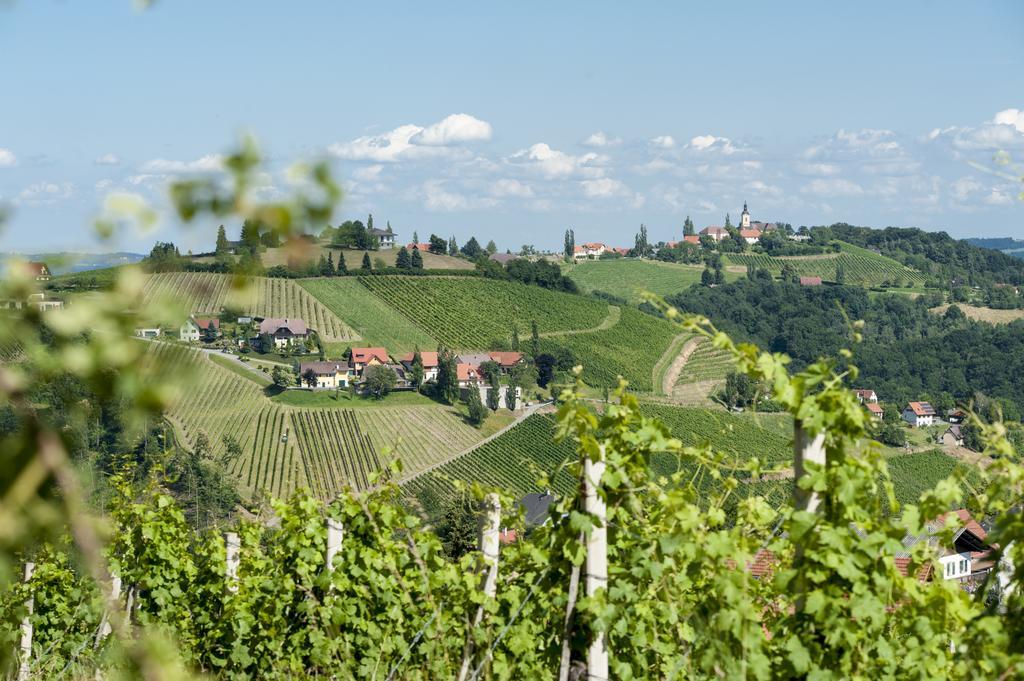 Weingut Schauer * Kitzeck im Sausal
