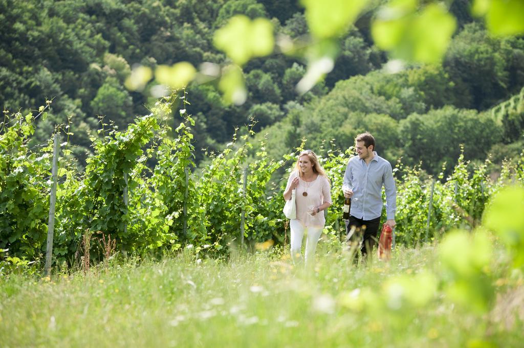 Bauernhof Weingut Schauer