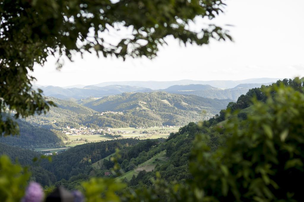 Bauernhof Weingut Schauer Kitzeck im Sausal