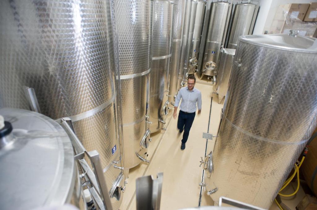 Weingut Schauer Bauernhof *